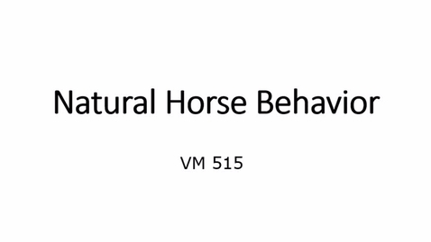 Thumbnail for entry VM 515-Natural Horse Behavior
