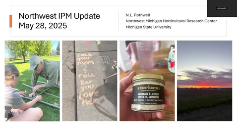 Thumbnail for May 28, 2025 MSUE Tree Fruit IPM Update for Northwest Michigan