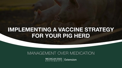 Thumbnail for entry Implementing a Vaccine Strategy For Your Pig Heard