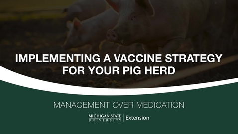 Thumbnail for Implementing a Vaccine Strategy For Your Pig Heard