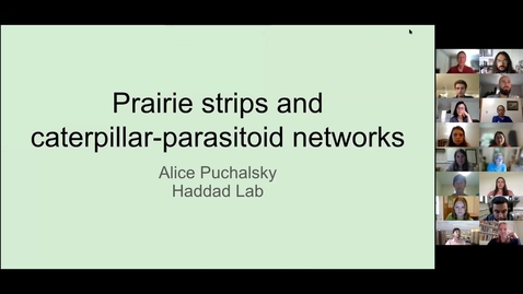 Thumbnail for Alice Puchalsky, 2021 KBS-LTER Graduate Fellow