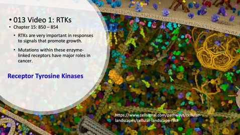 Thumbnail for 013 Video 1 Receptor tyrosine kinases