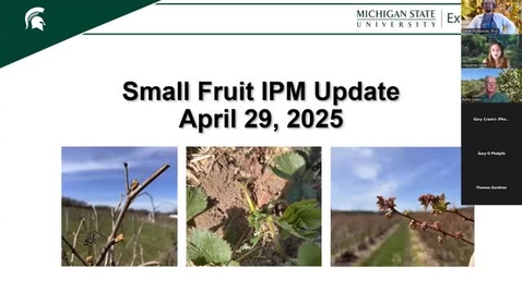 Thumbnail for April 29, 2025 MSUE Small Fruit IPM Update for Southern Michigan