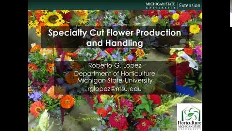 Thumbnail for Specialty cut flower production and handling