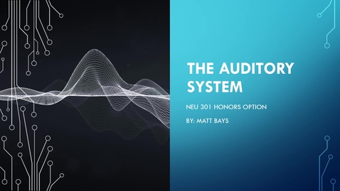Thumbnail for entry The Auditory System