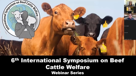 6th International Symposium on Beef Cattle Welfare - February Webinar - MSU  MediaSpace