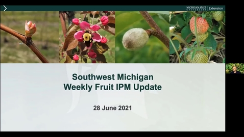 Thumbnail for entry SW Michigan Fruit Update June 28, 2021