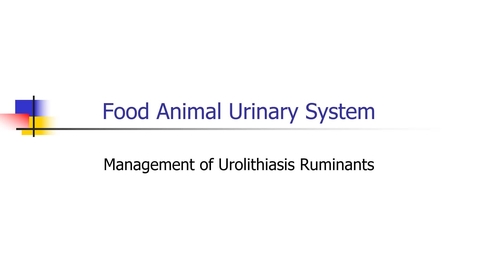 Thumbnail for entry Food_Animal_Urinary_Tract_Urolithiasis