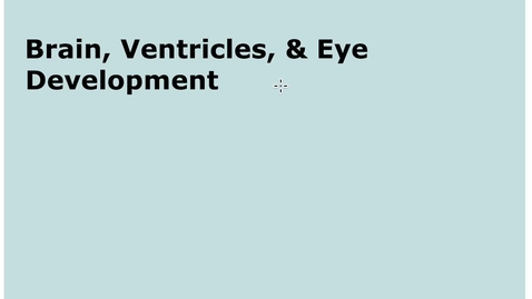 Thumbnail for entry 2-3 Brain Ventricle Eye Development