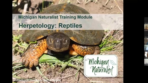 Thumbnail for MNP SDO June Herpetology Reptiles*