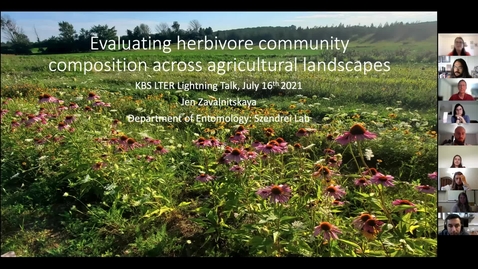 Thumbnail for Jennifer Zavalnitskaya, 2021 KBS-LTER Graduate Fellow