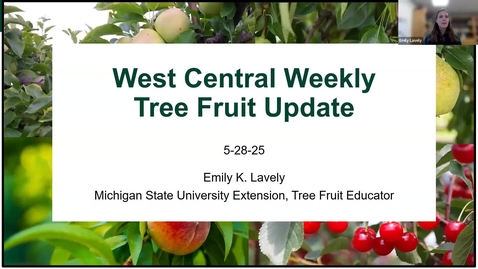 Thumbnail for West Central Tree Fruit IPM Update 5-28-25