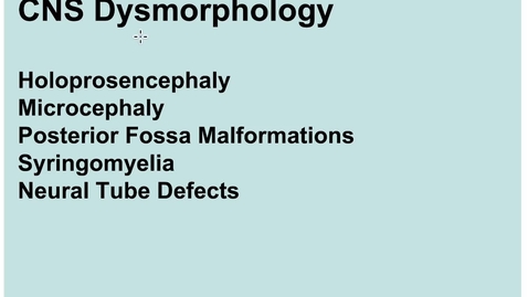 Thumbnail for entry 2-4 CNS Dysmorphology