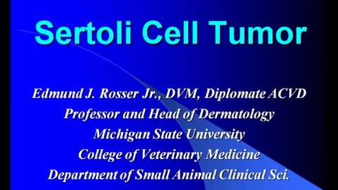 Thumbnail for entry VM_554_11012011_Sertoli_Cell_Tumor__Rosser