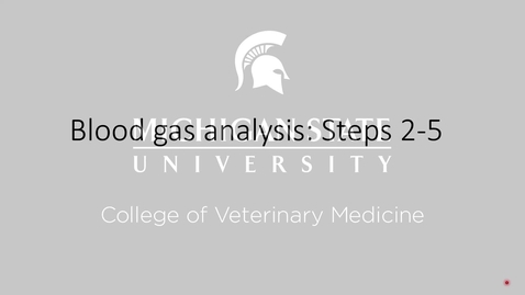 Thumbnail for entry VM 520-Blood Gas Analysis: Steps 2-5 (2022)