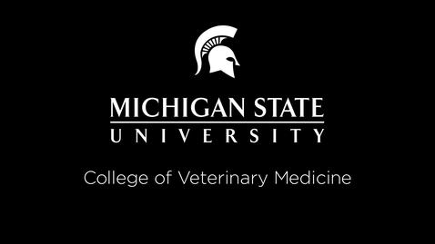 Thumbnail for entry VM 516-Brachial Plexus Dissection video (dog) Dr. Leah Reid