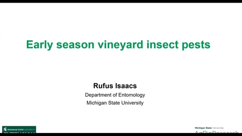 Thumbnail for entry Early season vineyard insect pests