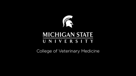 Thumbnail for entry VM 534-Food Animal Dermatology-Roberts