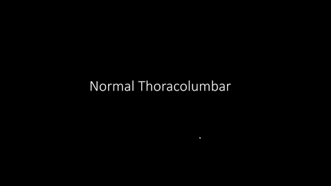 Thumbnail for entry VM 571-Equine Vertebral Neuroimaging -Equine Thoracolumbar &amp; Sacrocaudal Radiographic Anatomy
