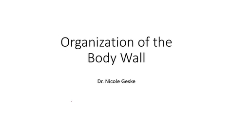 Thumbnail for entry ANTR510 Organization of the Body Wall