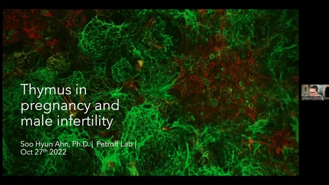 Thumbnail for entry PDI Seminar 10.27.22 - Thymus in pregnancy and male infertility
