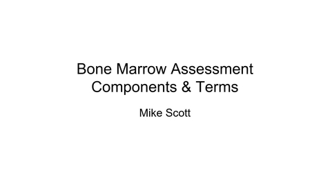 Thumbnail for entry VM 523-Bone Marrow Assessment - Components and Terms