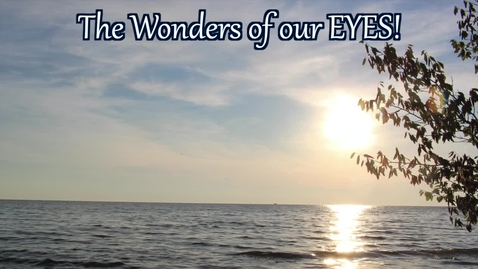 Thumbnail for entry The Wonders of our EYES!