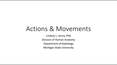 Thumbnail for entry Joint Actions &amp; Movements Fall 2020