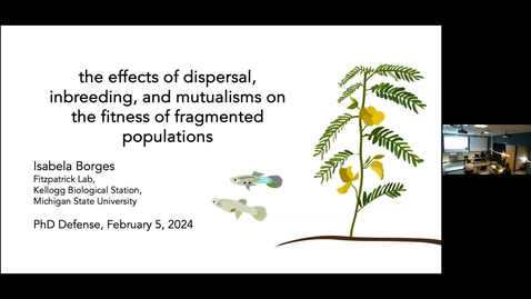 Thumbnail for Isabela Borges Defense Seminar - the effects of dispersal, inbreeding, and mutualisms on the fitness of fragmented populations