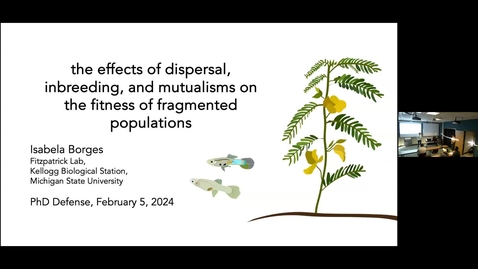 Thumbnail for entry Isabela Borges Defense Seminar - the effects of dispersal, inbreeding, and mutualisms on the fitness of fragmented populations