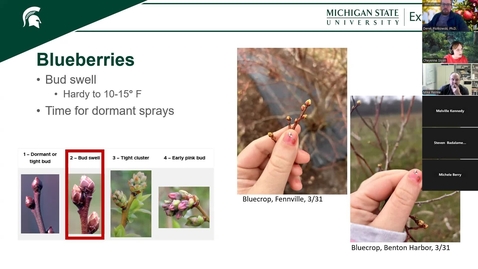 Thumbnail for April 1, 2025 MSUE Small Fruit IPM Update for Southern Michigan