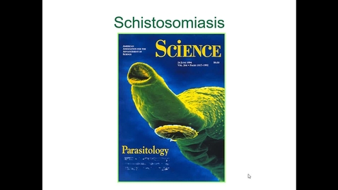 Thumbnail for entry IM618 - Schistosomiasis 1 - Introduction and Life Cycle