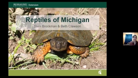 Thumbnail for entry MIMN SDO Herpetology: Reptiles *