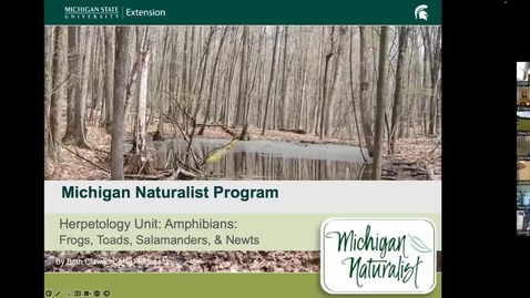 Thumbnail for MNP SDO June Herpetology Amphibians*