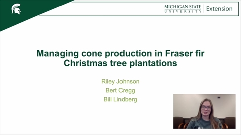 Thumbnail for Managing Cone Production in Christmas Trees