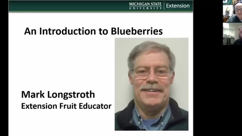 Thumbnail for Blueberries  March 27 2017