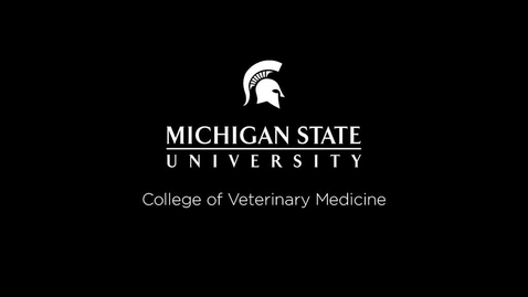 Thumbnail for entry VM 534-Feline Eosinophilic Granuloma Complex
