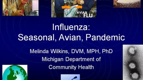 Thumbnail for entry VM_544-10112010-Influenza-Wilkins