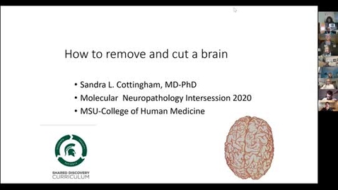 Thumbnail for entry Tauopathy_Neuropathology
