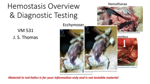 Thumbnail for entry VM 531-Hemostasis Overview (FS21)