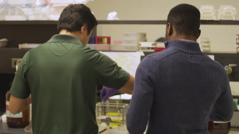 Thumbnail for A Glimpse of Undergraduate Research at Michigan State University