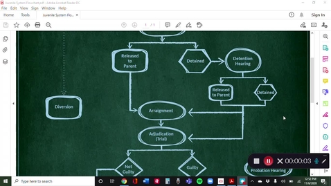Thumbnail for Video Lecture: Juvenile Justice Part Two 