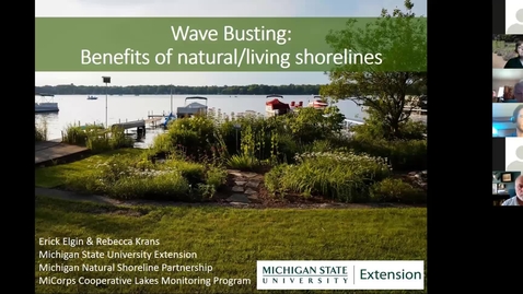 Thumbnail for Wild About Woods, Wetlands, &amp; Wildlife: Wave Busting