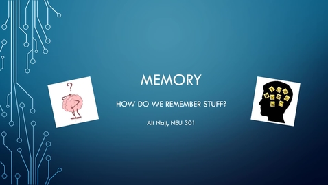 Thumbnail for entry Memory