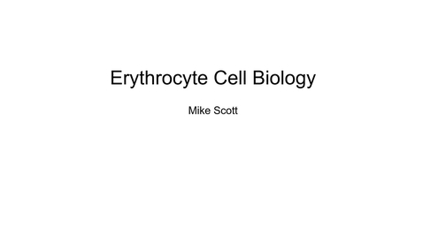 Thumbnail for entry VM 523-RBC Cell Biology