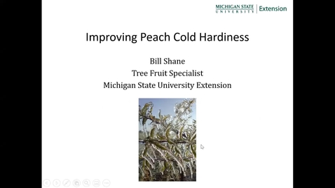 Thumbnail for entry Peach Cold Hardiness - Bill Shane, Michigan Spring Peach Meeting 2022