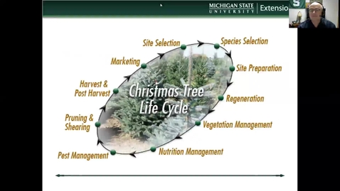 Thumbnail for Growing and marketing Christmas trees