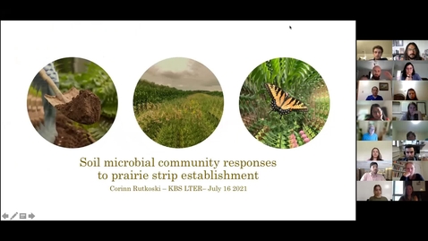 Thumbnail for Corinn Rutkoski, 2021 KBS-LTER Graduate Fellow