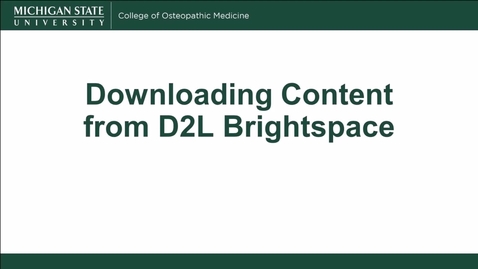 Thumbnail for How to Download Content from D2L