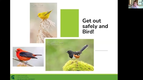 Thumbnail for Birds and Coffee Chat: Insect-Eating Birds